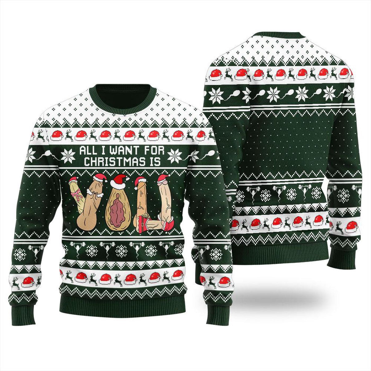 Dicky Ugly Funny Christmas Holiday Sweater Cockmas Sweatshirt