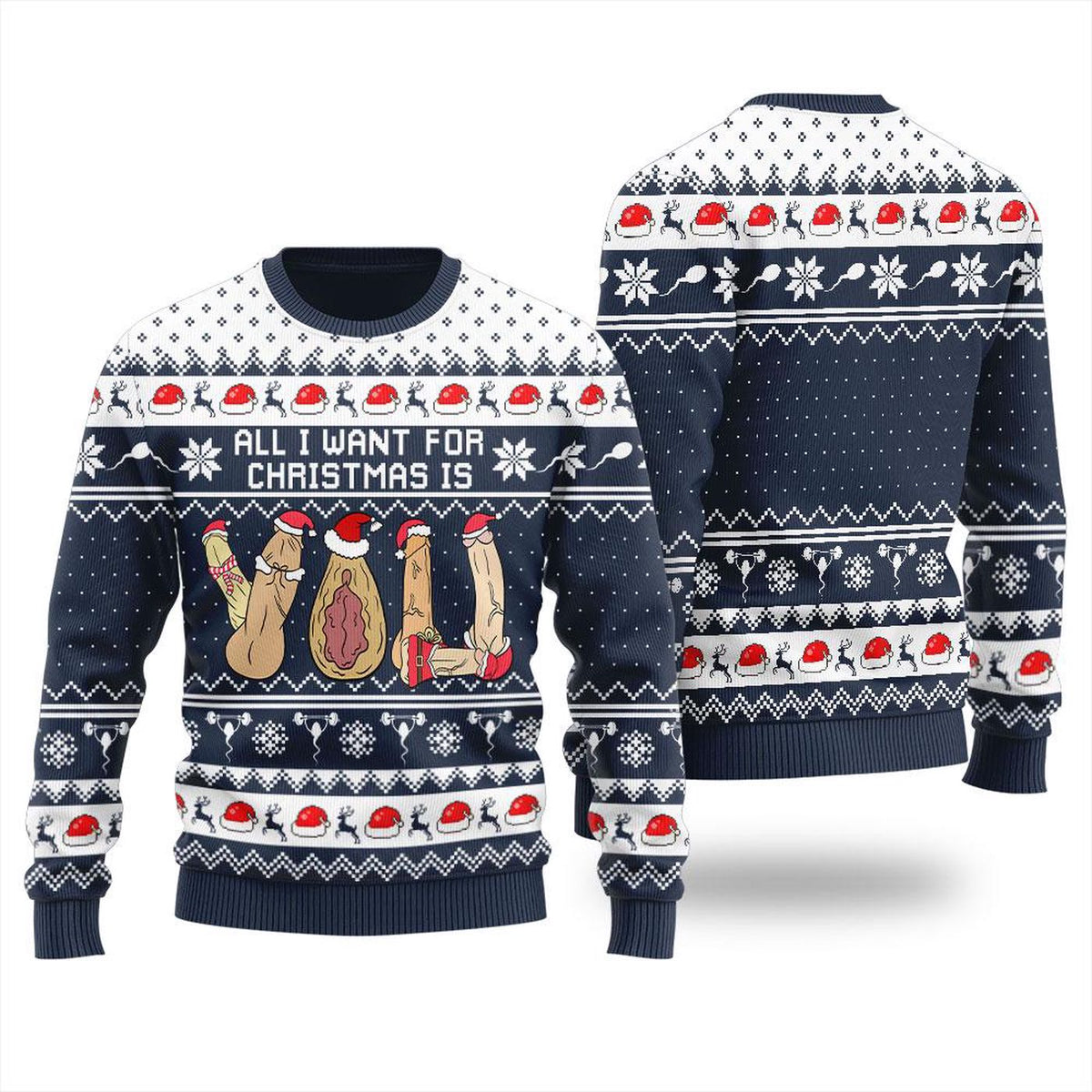 Dicky Ugly Funny Christmas Holiday Sweater Cockmas Sweatshirt