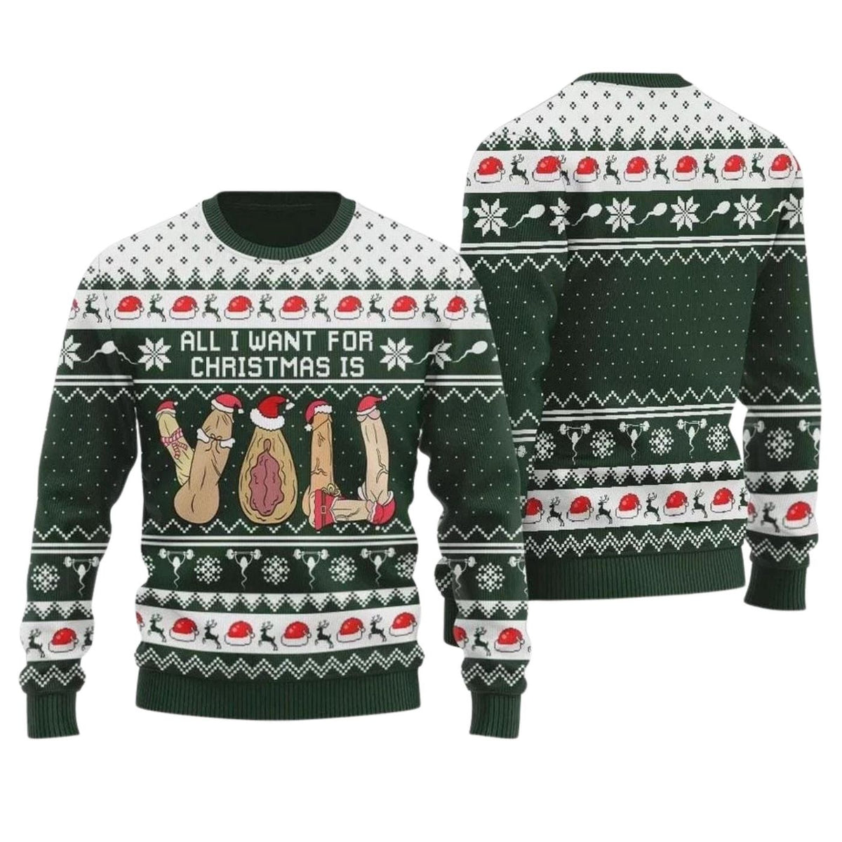 Naughty Christmas Sweatshirt All I Want for Christmas Green Adult Humor