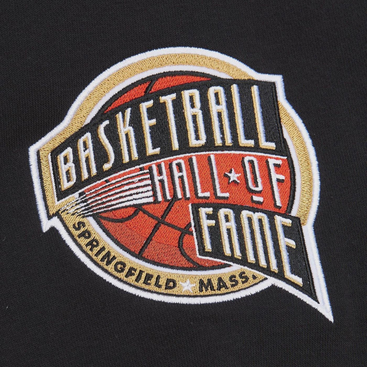 Vince Carter HALL OF FAME Mitchell & Ness Hoody